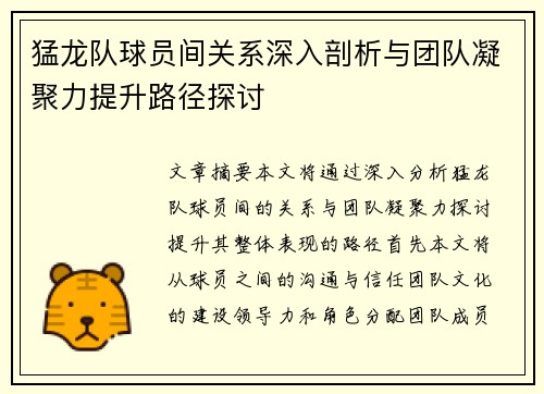 猛龙队球员间关系深入剖析与团队凝聚力提升路径探讨