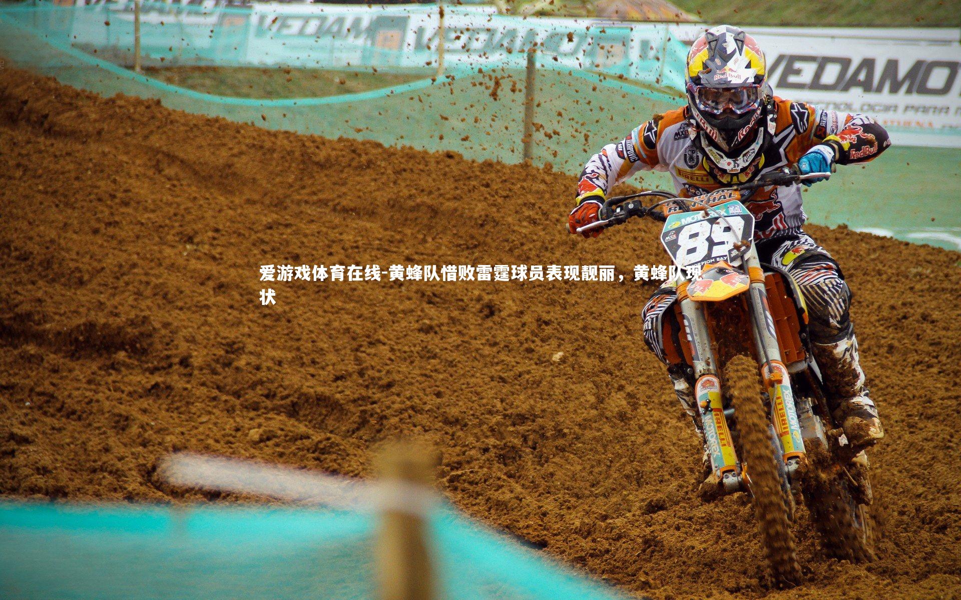 黄蜂队惜败雷霆球员表现靓丽,黄蜂队现状